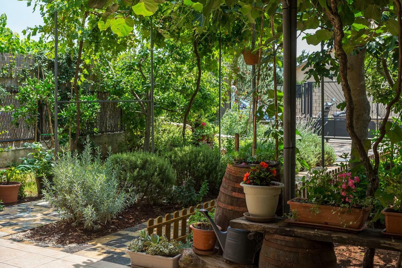 PUY Apartment Olga מראה חיצוני תמונה