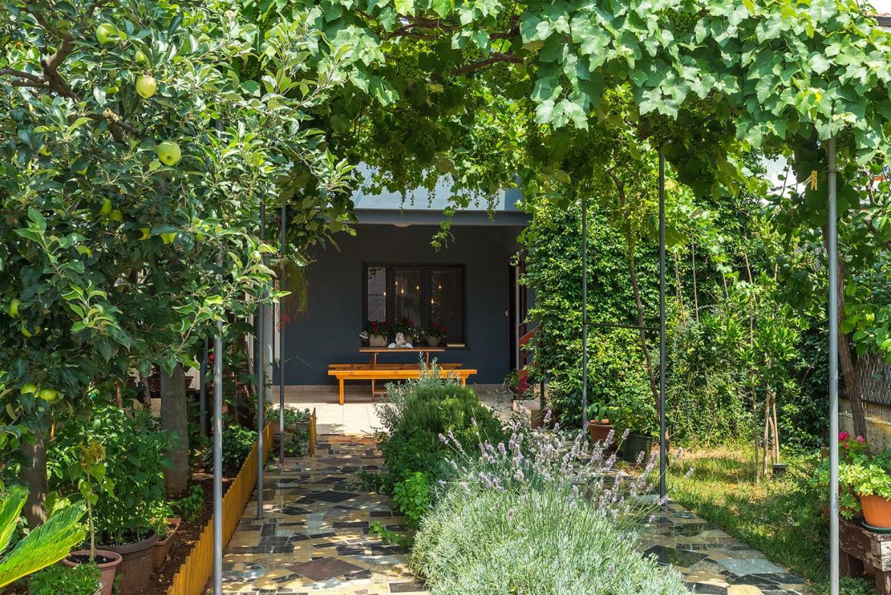 PUY Apartment Olga מראה חיצוני תמונה